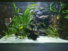 Allwetterzoo Münster Aquarium